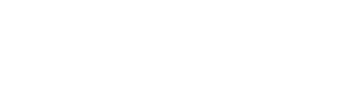The District at Flagler Village Logo